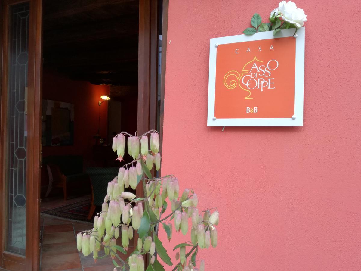 Casa Asso Di Coppe B&B Alba  Dış mekan fotoğraf